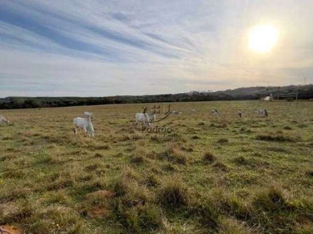 Área Rural à venda, Parque Monte Bianco, Araçoiaba da Serra - AR0165.