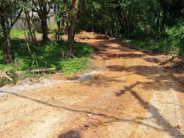 Terreno para Venda em Almirante Tamandaré, LAMENHA GRANDE