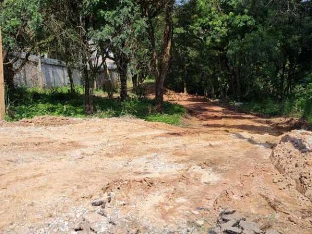 Terreno para Venda em Almirante Tamandaré, LAMENHA GRANDE