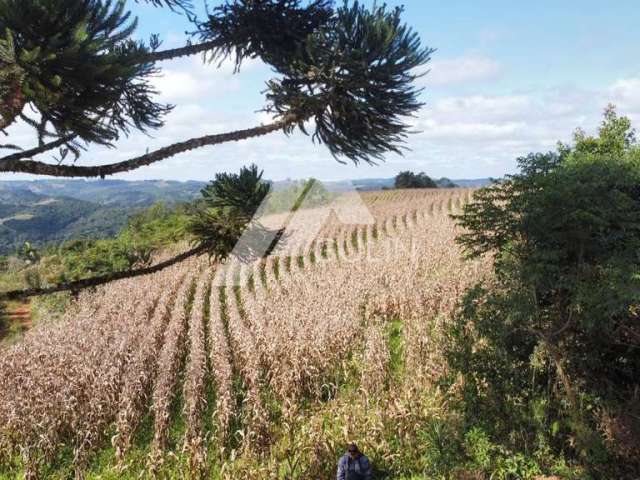 Área para Venda em Campo Magro