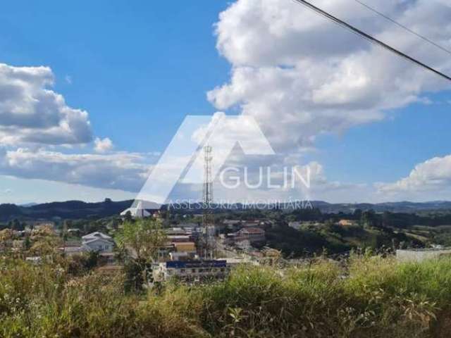 Terreno para Venda em Campo Magro, Centro