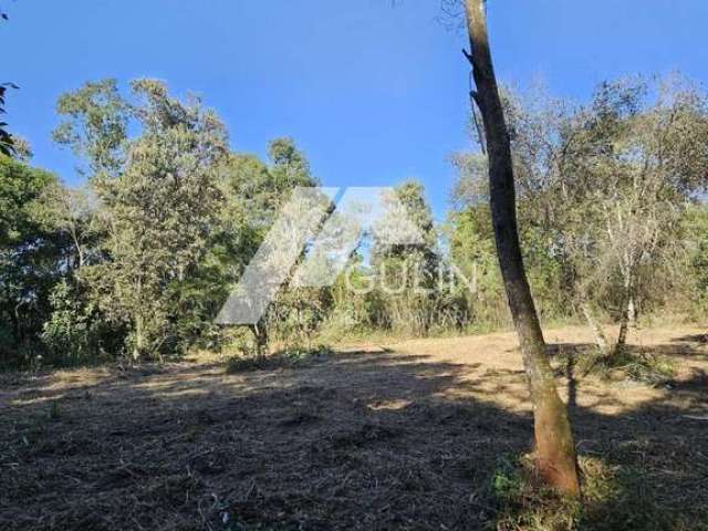 Área para Venda em Campo Magro