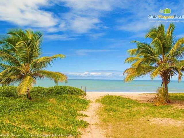 Palácio das Águias- 4 quartos com vista definitiva para o mar- Intermares