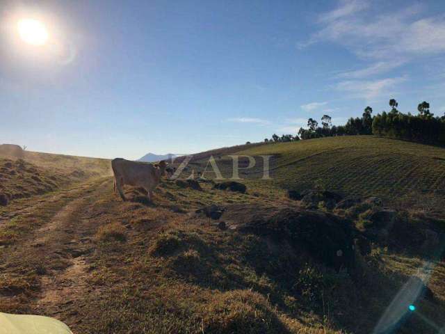 Fazenda à venda, 968000 m² - Caldas/MG