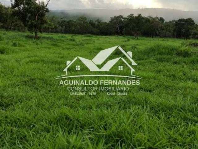 Fazenda Pecuaria perto de Cuiaba MT