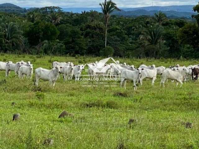 Fazenda pecuária 174 Hectares porteira fechada em MT