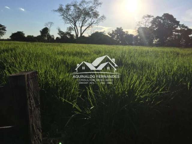 Fazenda Pecuária Beira de Rio, 110 Hectares perto de Cuiabá