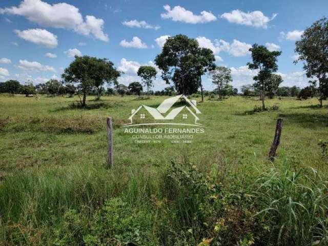 Chácara / sítio à venda no Mimoso, Santo Antônio do Leverger , 520000 m2 por R$ 700.000