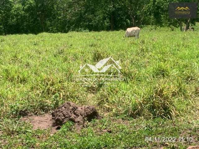 Fazenda com148 Hectares Pecuária