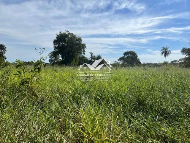 Fazenda Pecuaria 600 Hectares Próximo de Cuiabá MT