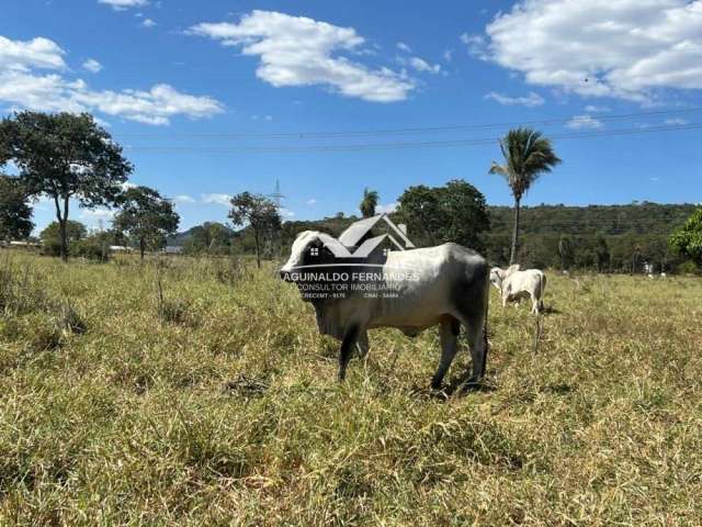 Fazenda de Pecaria 950 Hectares,  Próxima de Cuiabá MT