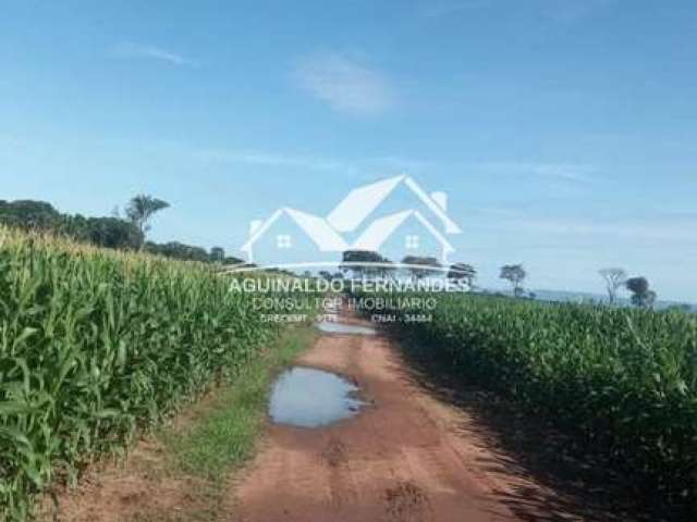 Fazenda Dupla aptidão 660 Hectares Próximo de Cuiabá MT