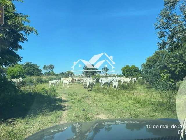 Fazenda Pecuaria 1.956 Hectares Próximo de Cuiabá MT