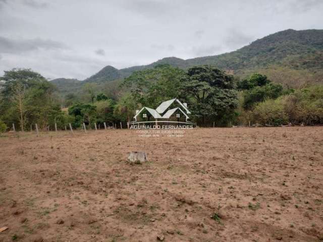 Sítio com 82 Hectares Beira de Rio, Terra de cultura