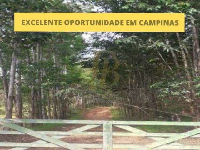 Excelente oportunidade em campinas