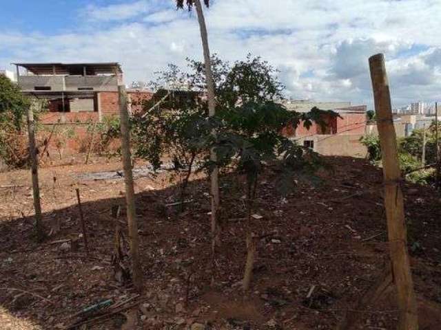 Lote Bairro Cidade Nova, L086. Perto da nova escola municipal.  Projeto aprovado para uma casa . Perto da avenida e Atacarejo Garcia. Região de Ipatinga