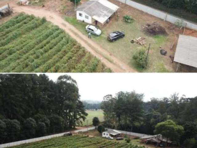 Chácara Bairro Colônia Dona Luiza