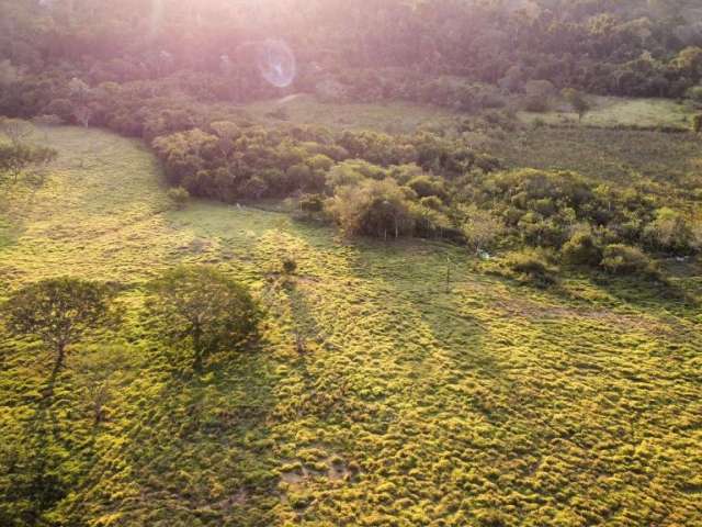 2 alqueires de terra em Goiânia. OPORTUNIDADE !!!!