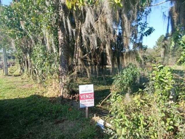 Lote de Terreno - Rio Pequeno - Aceita financiamento