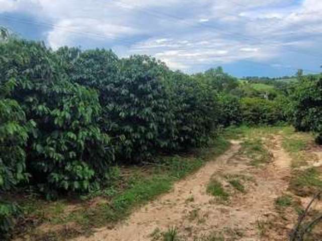 Fazenda / sitío em monte mor - hd invest