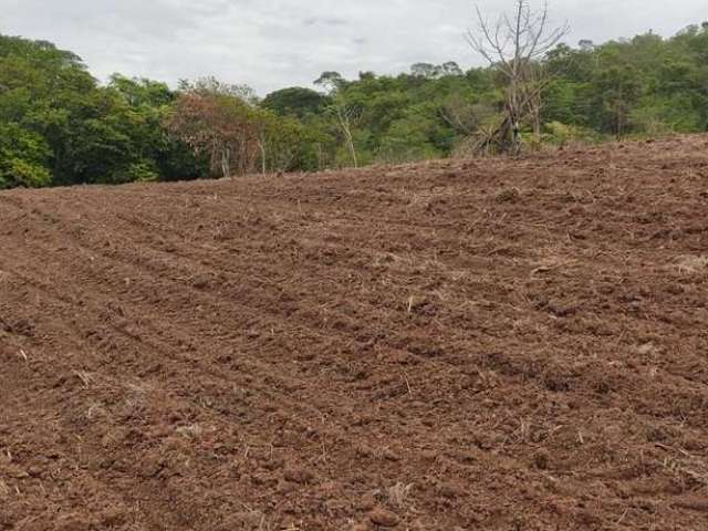 Área para Venda em Funilândia, Centro