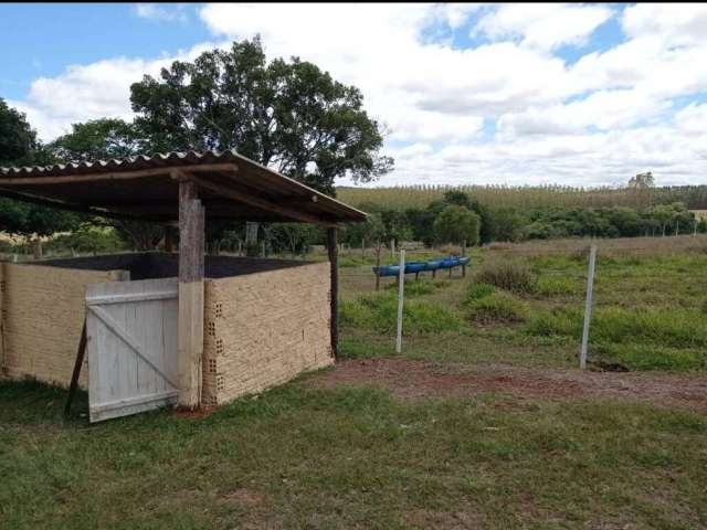 Fazenda com 3 salas à venda na Zona Rural, Paranapanema  por R$ 10.000.000