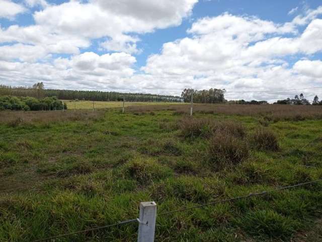 Fazenda à venda na zona rural, Centro, Paranapanema por R$ 10.000.000