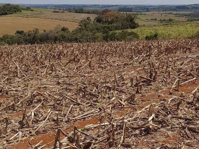 Fazenda à venda na Rua 3, Área Rural de Itapetininga, Itapetininga por R$ 17.000.000