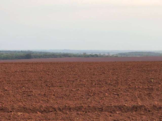 Fazenda com 3 salas à venda na rua 1, Centro, Paranapanema por R$ 400.000.000