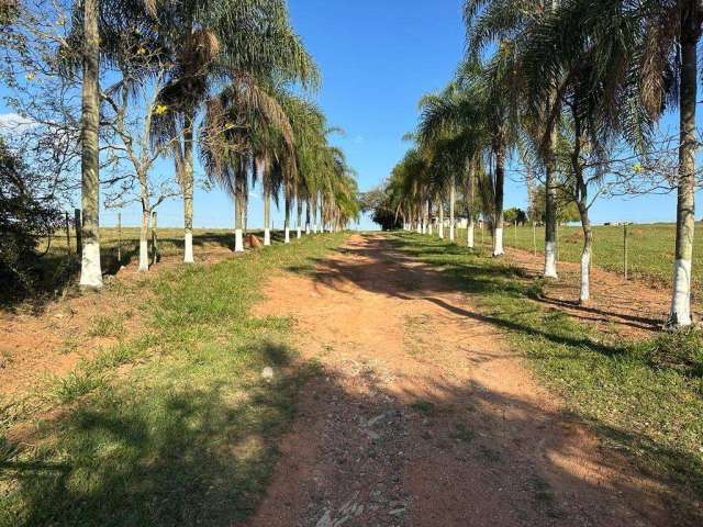 Fazenda à venda na estrada vicinal, 1010, Centro, Alambari por R$ 22.000.000