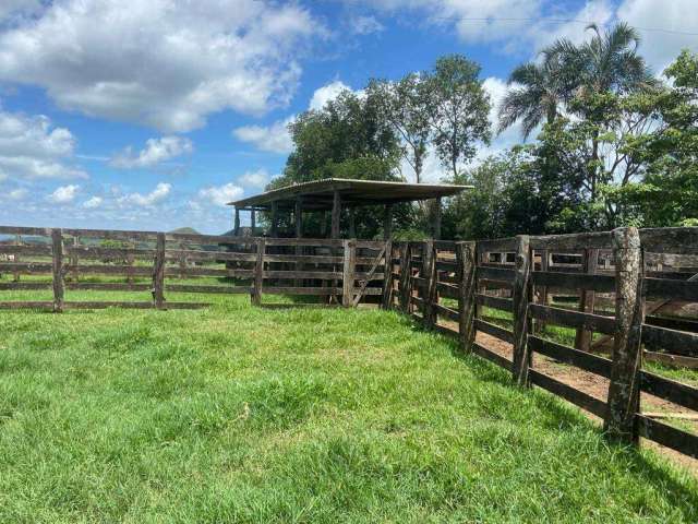 Fazenda à venda na Vicinal, 10202, Zona Rural, Inocência por R$ 14.000.000