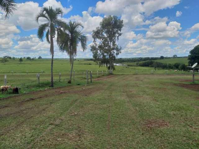 Fazenda à venda na Vicinal 1260, Zona Rural, Brasilândia por R$ 176.000.000