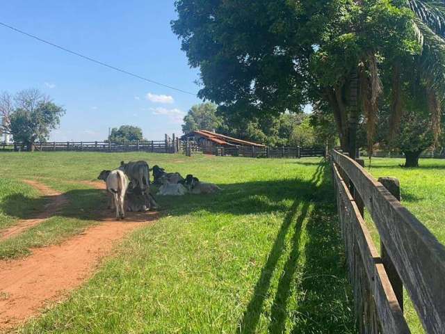 Fazenda à venda na Área Rural, Área Rural de Araranguá, Araranguá por R$ 38.000.000