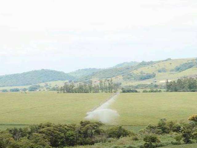 Fazenda à venda na Avenida Brasil, Zona 03, Maringá por R$ 700.000.000