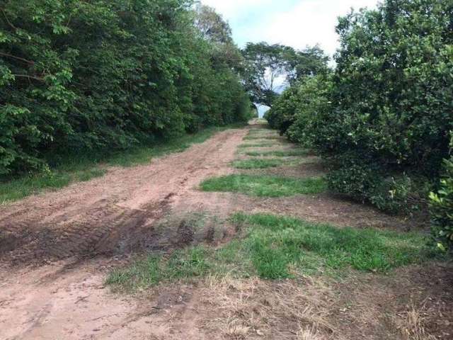 Fazenda à venda na Rua Rio Grande do Sul, 1010, Centro, Avaré por R$ 122.500.000