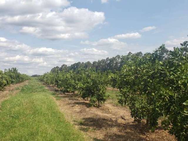 Fazenda à venda na Área Rural, Área Rural de Araraquara, Araraquara por R$ 72.000.000