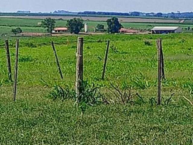 Fazenda à venda na Área Rural, Área Rural de Penápolis, Penápolis por R$ 120.000.000