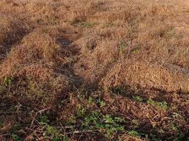 Terreno à venda na Rua Teresina, 1010, Centro, Barão de Antonina por R$ 160.000