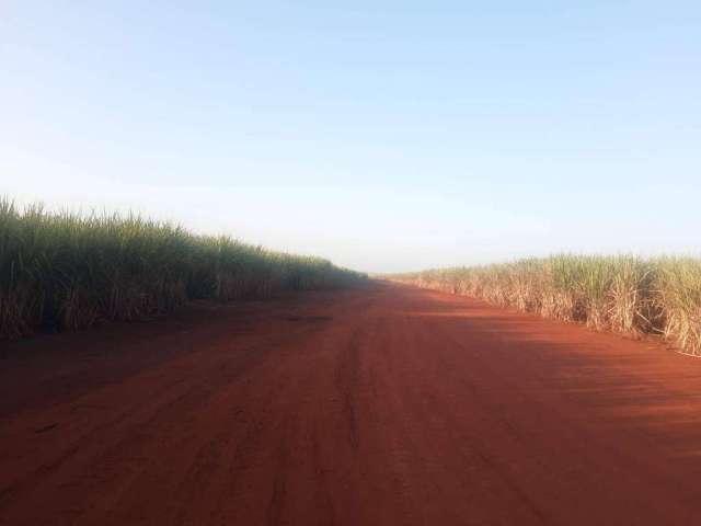 Fazenda à venda na Área Rural, 1020, Área Rural de Campinas, Campinas por R$ 1.140.000.000