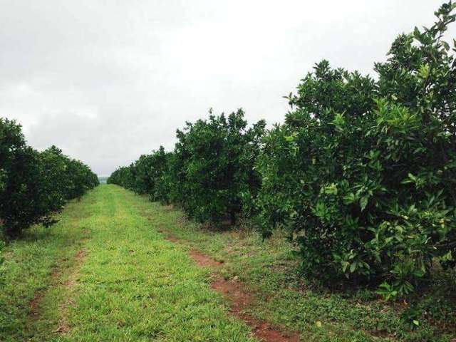 Fazenda à venda na Rua Rio Grande do Sul, Centro, Avaré por R$ 105.000.000