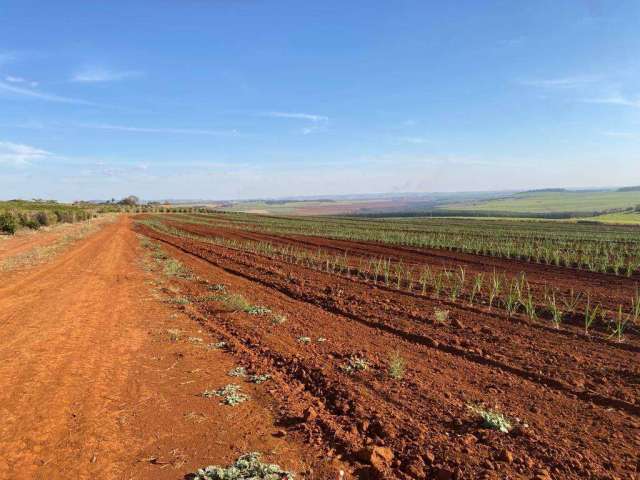 Fazenda à venda na Área Rural, Área Rural de Ribeirão Preto, Ribeirão Preto por R$ 32.000.000