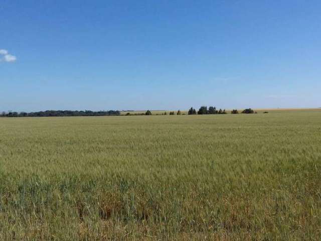 Fazenda à venda no Centro, Sacramento  por R$ 32.000.000