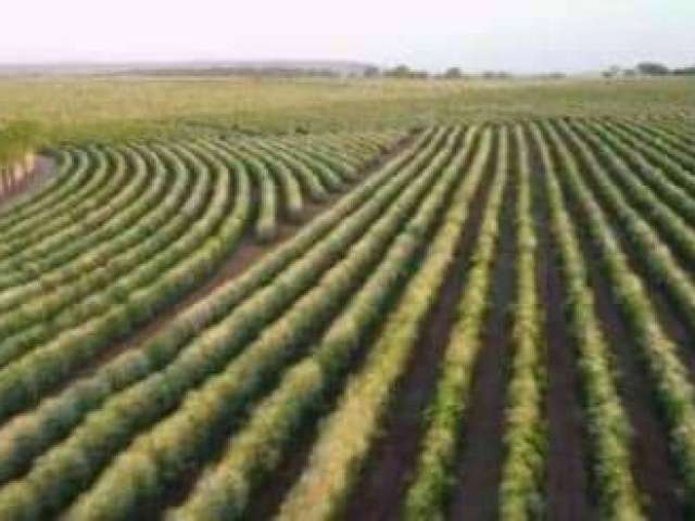 Fazenda à venda na Rua Vigilato Rodrigues, 1, Centro, Carmo do Paranaíba por R$ 480.000.000