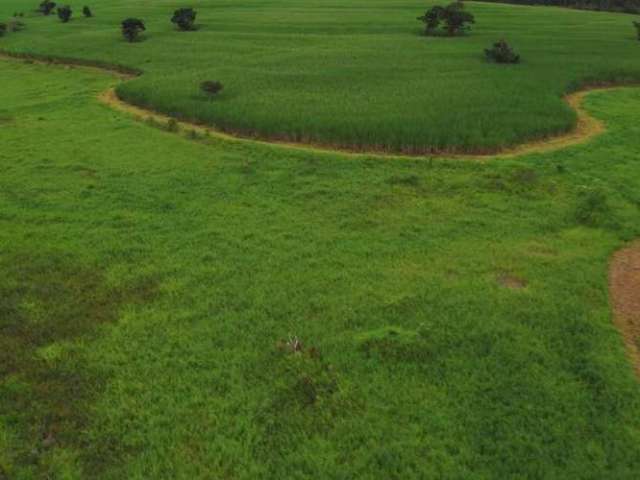 Fazenda à venda na Área Rural, Área Rural de Tatuí, Tatuí por R$ 20.000.000