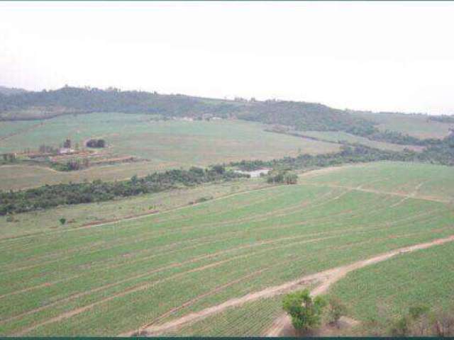 Fazenda à venda na Área Rural, Área Rural de São Carlos, São Carlos por R$ 33.000.000