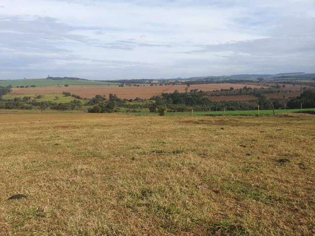 Fazenda à venda na Área Rural, Área Rural de Avaré, Avaré por R$ 36.000.000