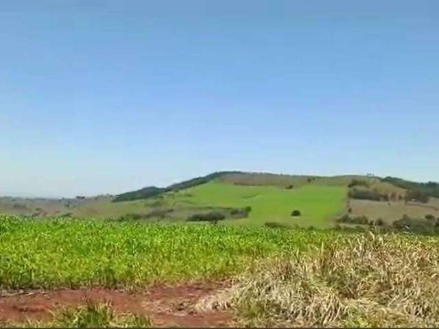 Fazenda à venda na Estrada vicinal 111, 111, Centro, Siqueira Campos por R$ 34.884.000