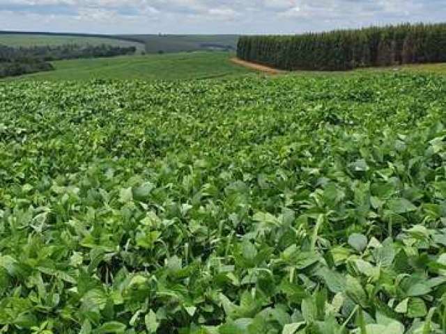 Fazenda à venda na Área Rural, Área Rural de Bauru, Bauru por R$ 12.780.000