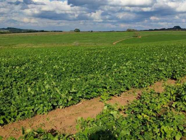 Fazenda à venda na Área Rural, Área Rural de Itapetininga, Itapetininga por R$ 22.000.000