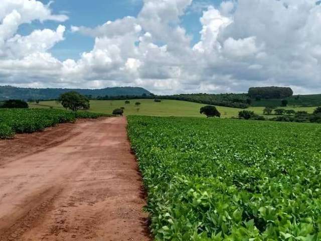 Fazenda à venda na vicinal 1, Centro, Itamogi por R$ 27.500.000